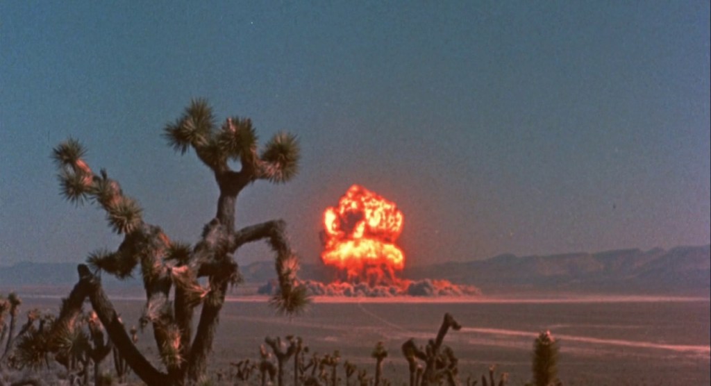 Observations of the&nbsp;Species